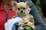 ADULTE ET CHIEN 316